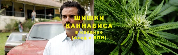 амф Алзамай