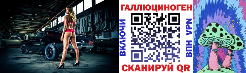 как найти наркотики Пыталово кракен как войти Псилоцибиновые грибы Psilocybe